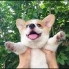 posh_an posh_an